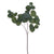 Silver Dollar Eucalyptus Spray