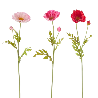 Poppy Stem