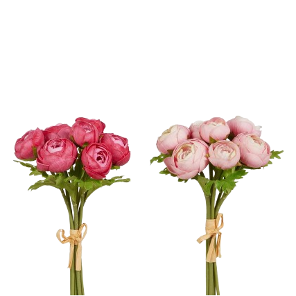 Ranunculus Bundle