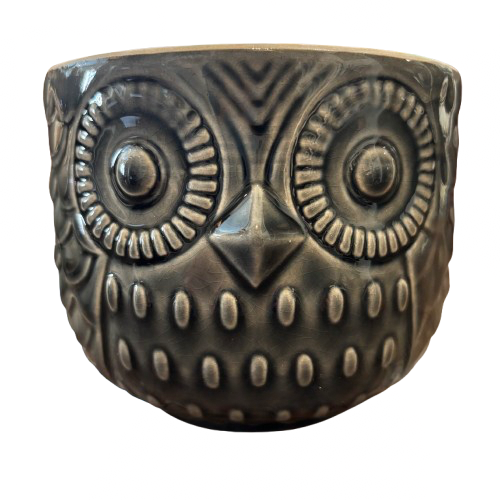 Stoneware Owl Container