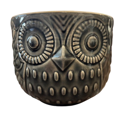 Stoneware Owl Container
