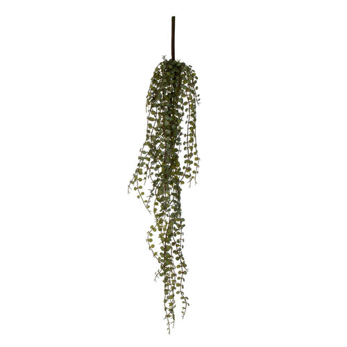 Hanging Succulent Bush