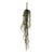 Hanging Succulent Bush