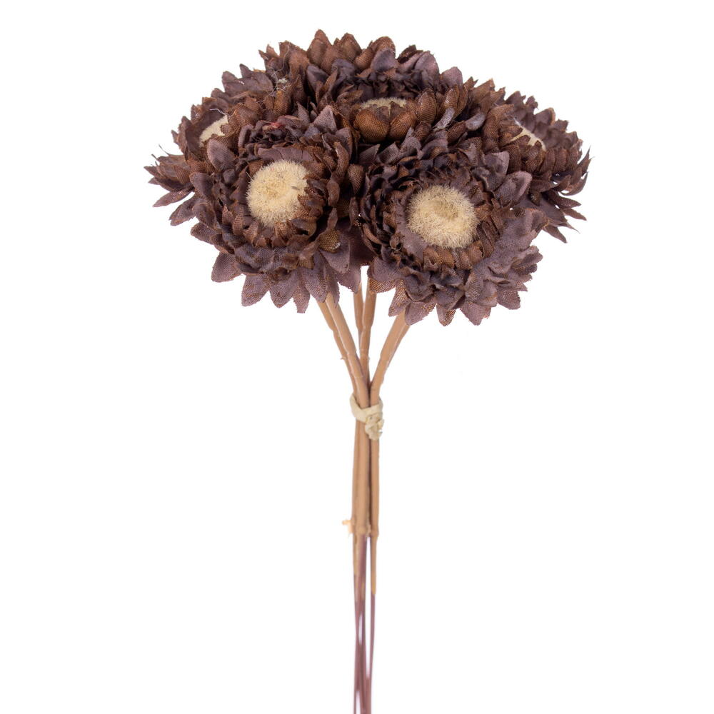 Daisy Strawflower Stem, brown