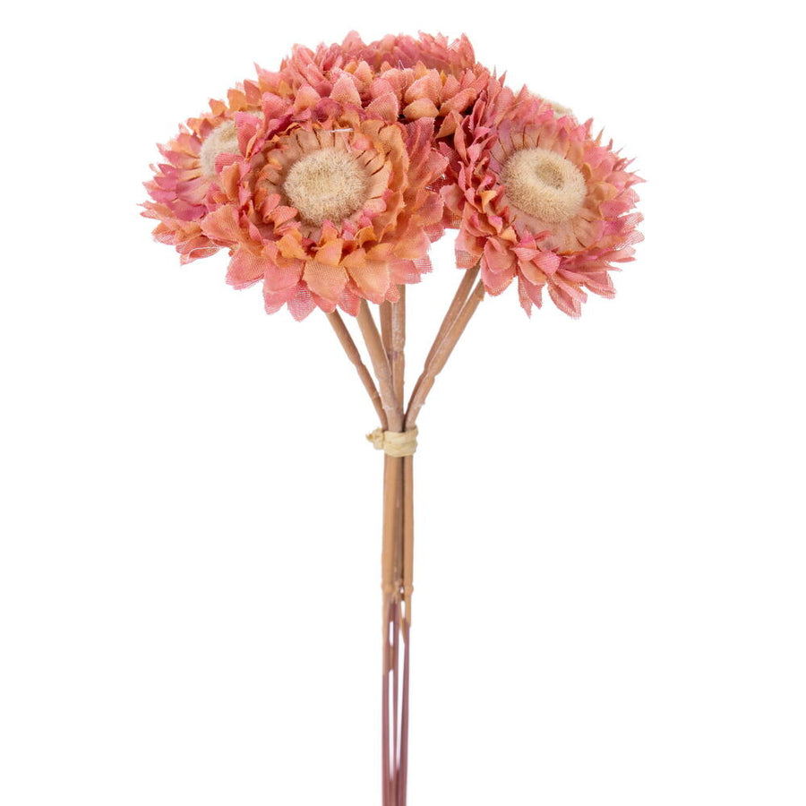 Daisy Strawflower Stem, pink