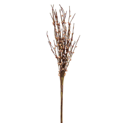 Willow Bunch