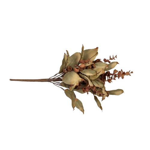 Eucalyptus and Laurel Leaf Pick