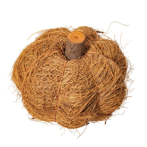Dried Botanical Pumpkin, natural