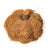 Dried Botanical Pumpkin, natural