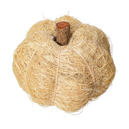 Dried Botanical Pumpkin