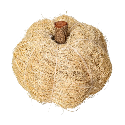 Dried Botanical Pumpkin