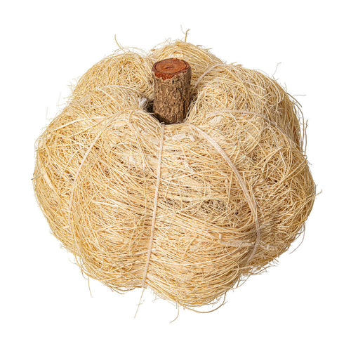 Dried Botanical Pumpkin, bleached