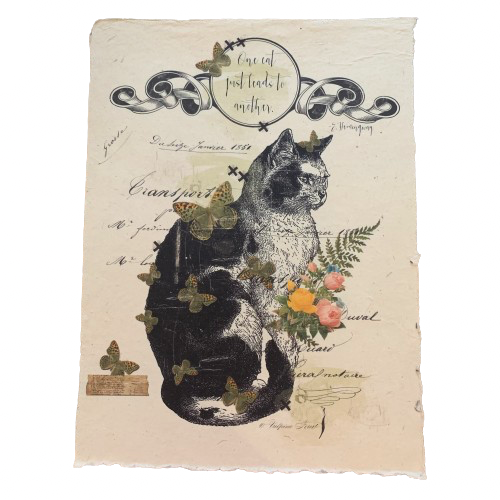 12x16 Artisan Paper Print, one cat just leads to another