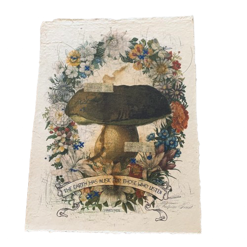 12x16 Artisan Paper Print, the earth has music