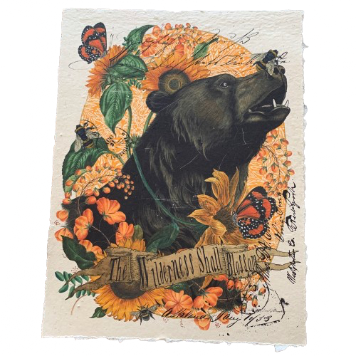 12x16 Artisan Paper Print, the wilderness shall blossom