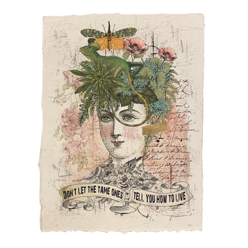 12x16 Artisan Paper Print, don't let the tame ones