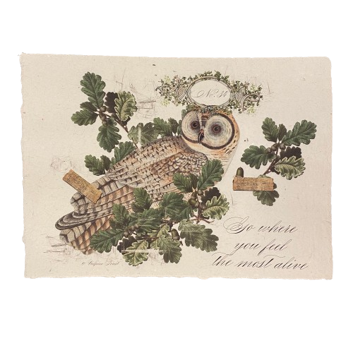 12x16 Artisan Paper Print, go where you feel the most alive