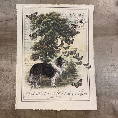 12x16 Artisan Paper Print, seek out a tree