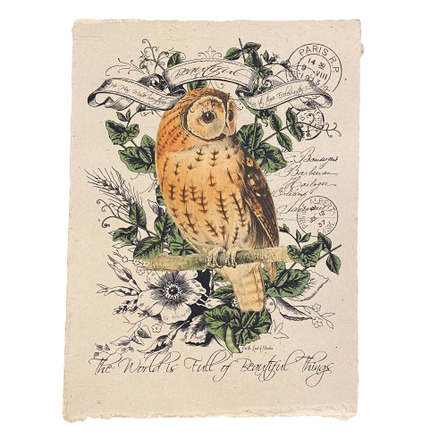 12x16 Artisan Paper Print, the world is full of beautiful things