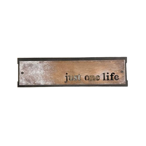 Small Sign  "Just One Life" 13x3
