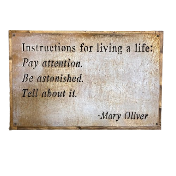 Metal Sign "Instructions for Living" 24x16