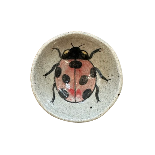 Stoneware Dish, ladybug