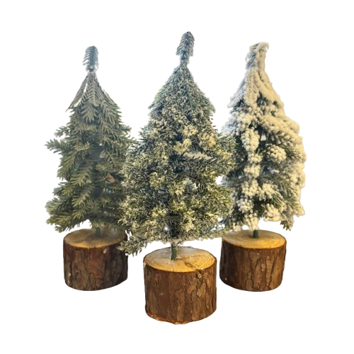 Small Evergreen Tree