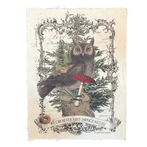 12x16 Artisan Paper Print, we can never have enough nature