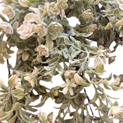 Hanging Miramar Buds