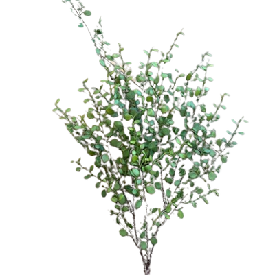 Rarrick Leaves Spray