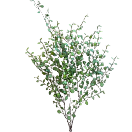 Rarrick Leaves Spray