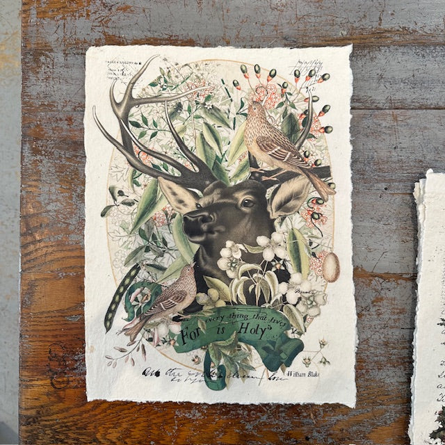 12x16 Artisan Paper Print, every thing that lives