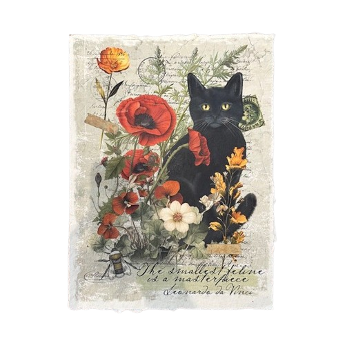 12x16 Artisan Paper Print, smallest feline