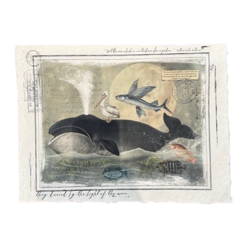 12x16 Artisan Paper Print, danced by the light