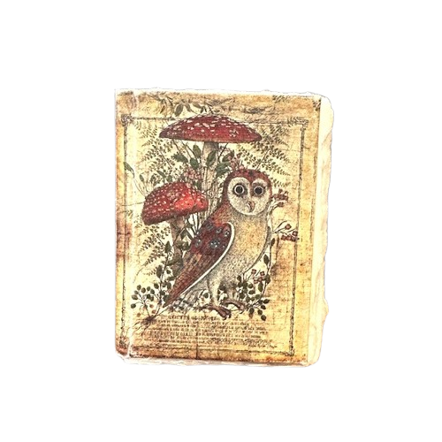 Owl Journal