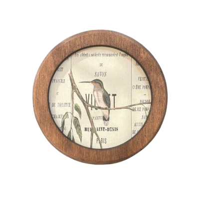 Framed Round Bird Print