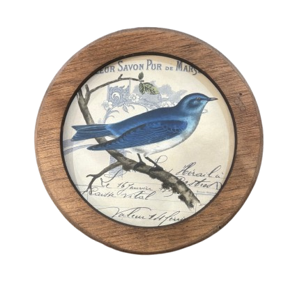 Framed Round Bird Print