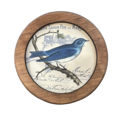 Framed Round Bird Print