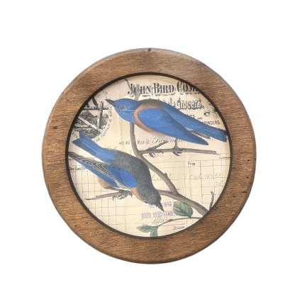 Framed Round Bird Print