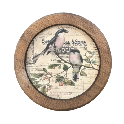Framed Round Bird Print