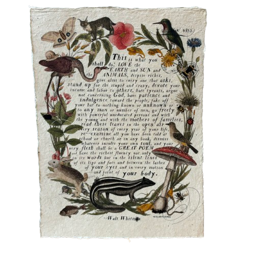 12x16 Artisan Paper Print, this is what you shall do