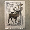 12x16 Artisan Paper Print, seek the secrets of nature
