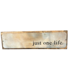 Metal Sign "Just One Life”- framed (small)