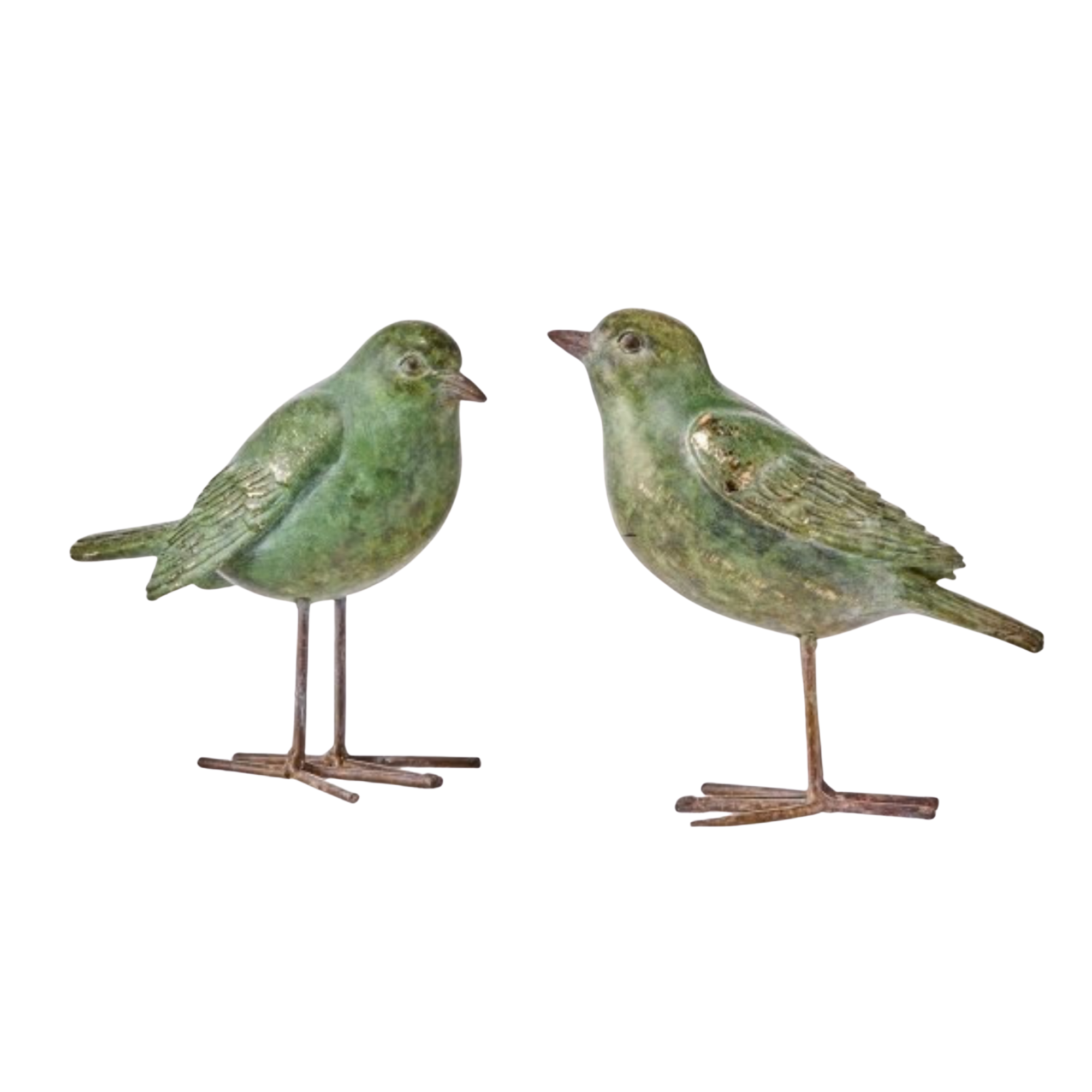Green and Gold Bird