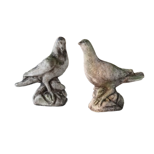Aged Concrete Dove