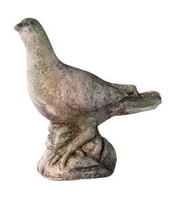 Aged Concrete Dove