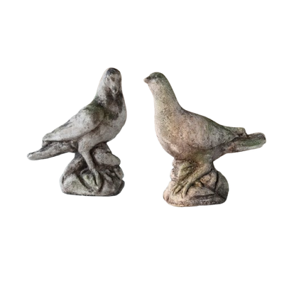Aged Concrete Dove