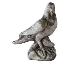 Aged Concrete Dove