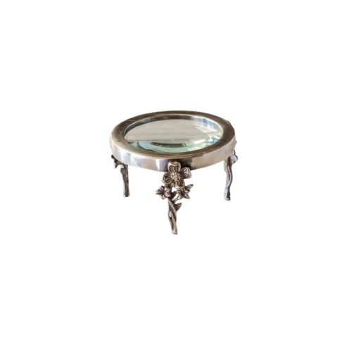 Silver Document Magnifier