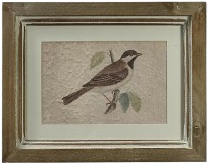 Framed Bird Print, rectangle